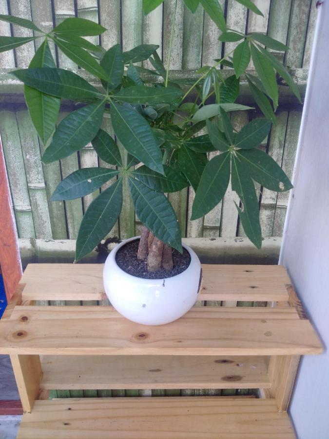 Hà Tiên Homestay Esterno foto